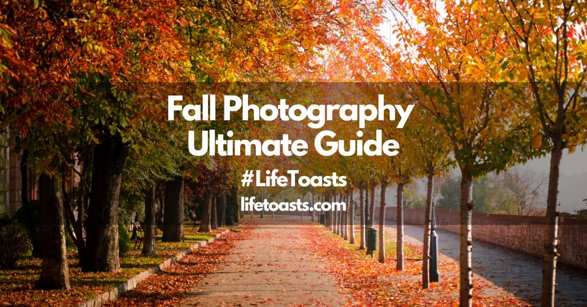 Fall Photography Ultimate Guide