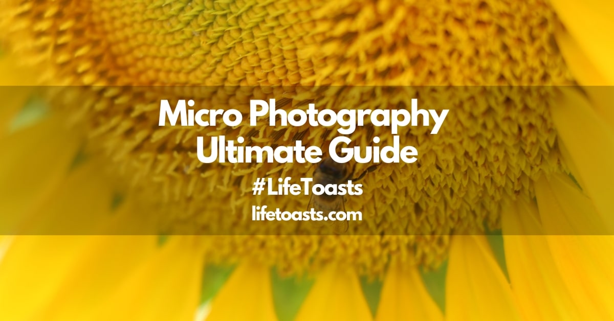 Micro Photography Ultimate Guide